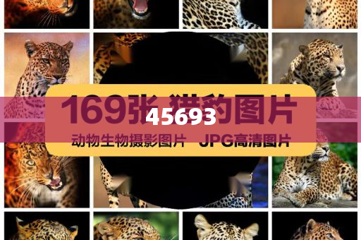 全新升級(jí)，7777888888精準(zhǔn)新管家，全新升級(jí)管家，精準(zhǔn)管理，一站式服務(wù) 7777888888新管家重磅來襲