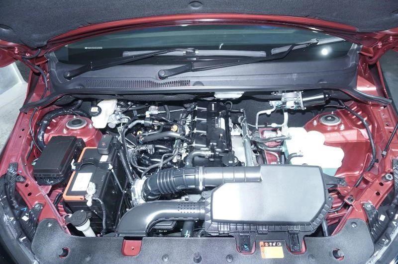 王中王四肖選一肖期期誰，揭秘彩票背后的秘密，揭秘彩票背后的秘密，王中王四肖選一肖期期的真相