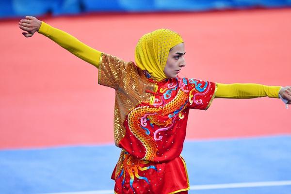 揭秘504王中王一肖，背后的故事與傳奇，揭秘王中王一肖傳奇，背后的故事與神秘面紗