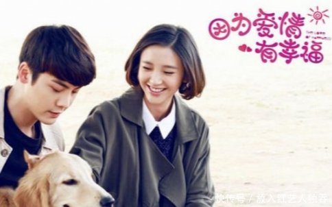 好看的電視劇排行榜前十名，精彩劇情一覽，電視劇排行榜前十名精彩劇情全覽