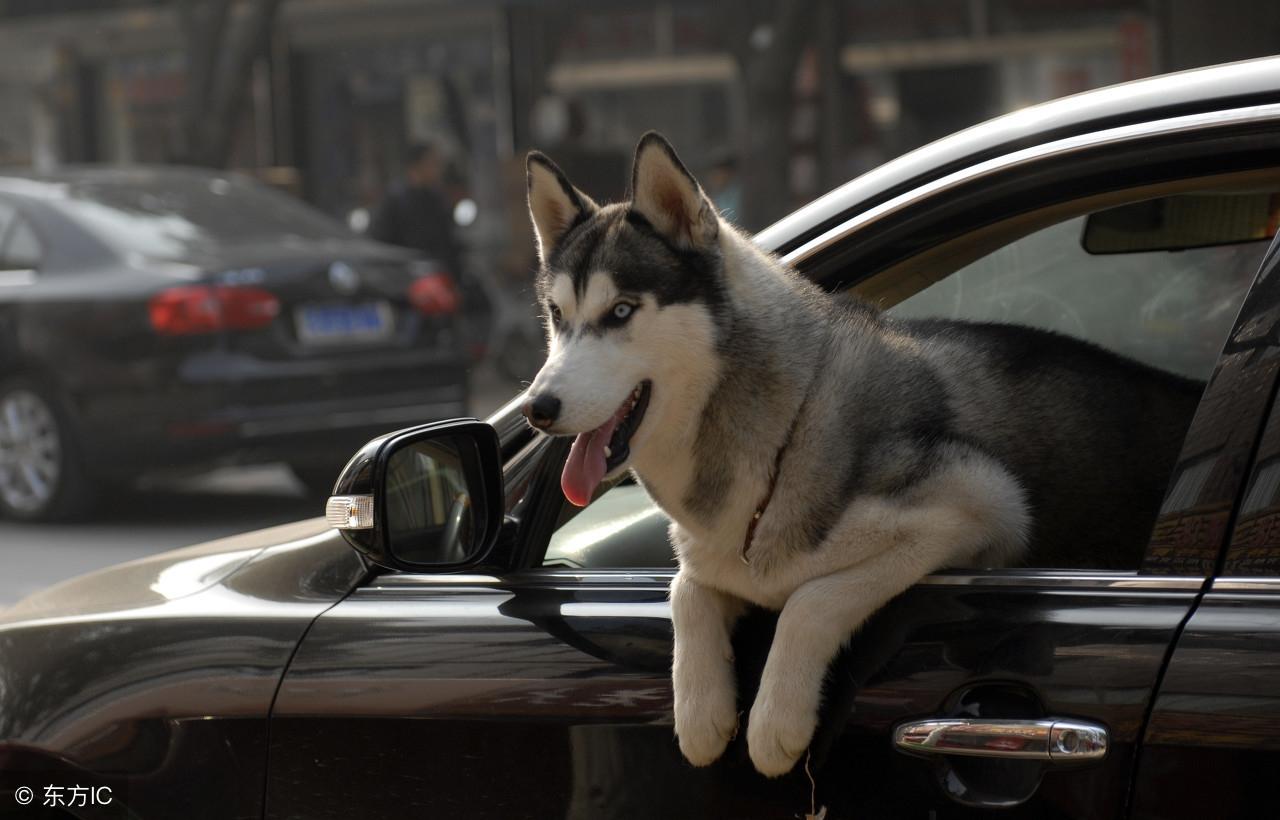 今晚九點(diǎn)三十分特馬開彩盛宴，揭秘彩票背后的秘密！，揭秘彩票背后的秘密，今晚九點(diǎn)三十分特馬開彩盛宴！