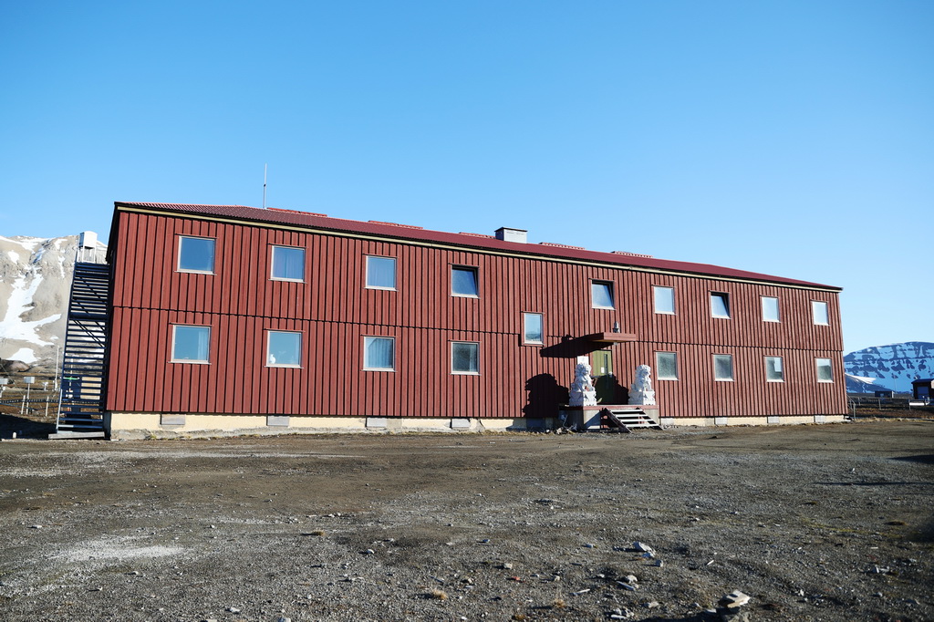 新澳王中王，揭秘一肖一特一中背后的奧秘，揭秘新澳王中王一肖一特一中背后的秘密傳奇