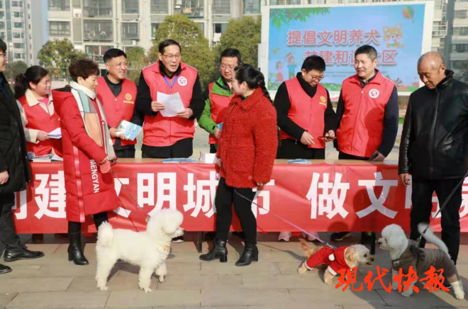 急先鋒澳門六肖，深度解析與探索，澳門六肖急先鋒，深度解析與探索