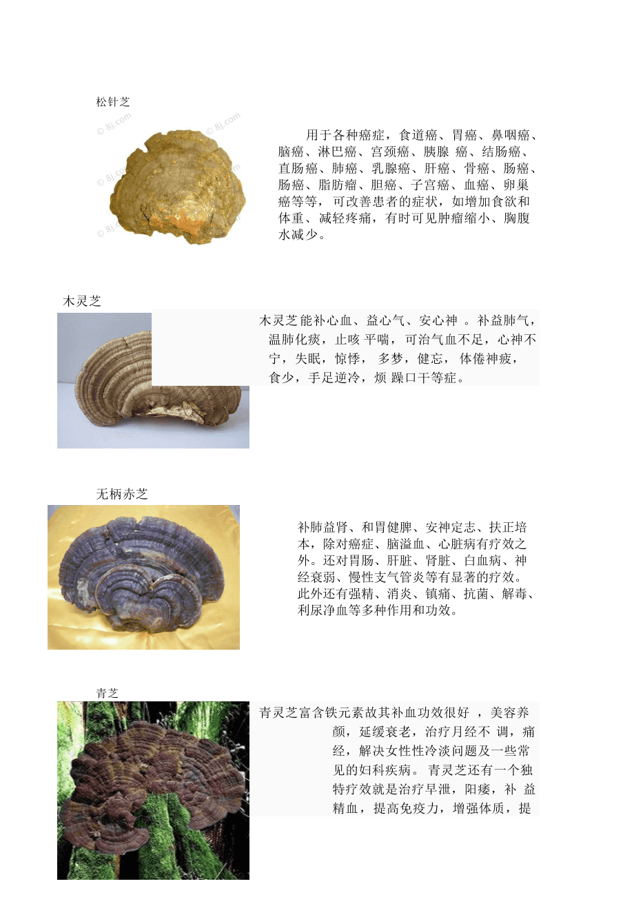 靈芝，功效、作用及食用方法，靈芝，功效、作用與食用指南