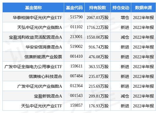 吉電股份股票股吧，深度解析與前景展望，吉電股份股票股吧深度解析及前景展望