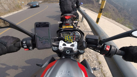 王中王310期指一生肖——揭秘生肖運勢與人生軌跡，揭秘生肖運勢與人生軌跡，王中王310期指一生肖探討返回頂部