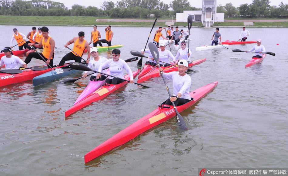 王中王一碼一肖免費公開，揭秘精準(zhǔn)預(yù)測的秘密，揭秘王中王一碼一肖精準(zhǔn)預(yù)測的秘密，免費公開揭秘！