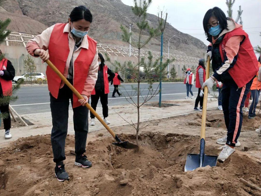 天下彩天天空彩資料免費(fèi)大全管家，探索與解析，天下彩天天空彩資料大全管家，深度探索與解析