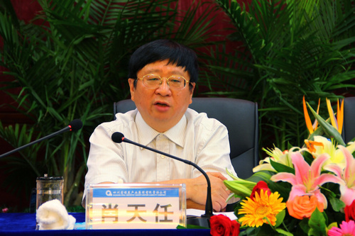 王中王資科一肖中持天，深度解析與SEO優(yōu)化策略，王中王資科一肖中持天深度解析與SEO優(yōu)化策略探討