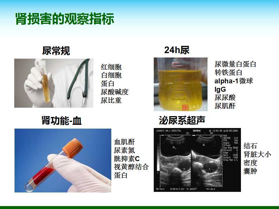 尿酸水平升高與腎臟健康，尿酸460是否意味著腎臟已經(jīng)受損？，尿酸水平升高與腎臟健康關(guān)系解析，尿酸460是否預(yù)示腎臟受損？