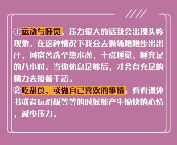 新澳內(nèi)部猛料揭秘，深度探索與獨特洞察，新澳內(nèi)部揭秘，深度探索與獨特洞察之旅