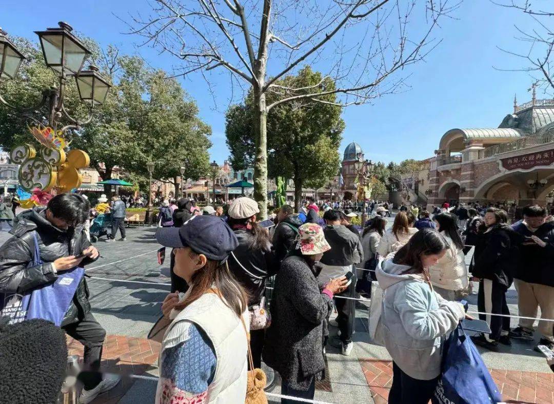 關(guān)于迪士尼上海倒閉的真相探討與深度解析，迪士尼上海倒閉真相深度探討與解析