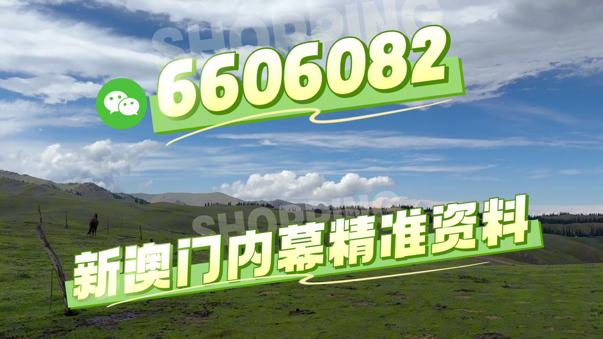 澳門特馬今晚開獎(jiǎng)億彩網(wǎng)，探索彩票的未來與策略，澳門特馬今晚開獎(jiǎng)億彩網(wǎng)，彩票未來趨勢(shì)與策略探索