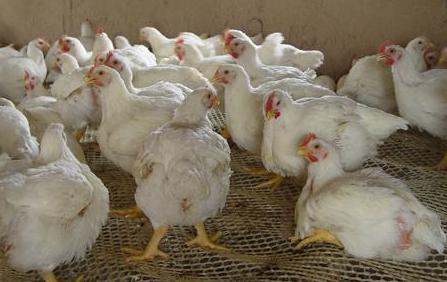 關(guān)于股票代碼002299的深入解析與前景展望，股票代碼002299深度解析與未來前景展望