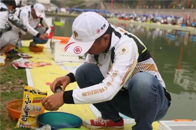 王中王高手論壇一肖中特，深度解析與探討，王中王高手論壇深度解析與探討一肖中特技巧