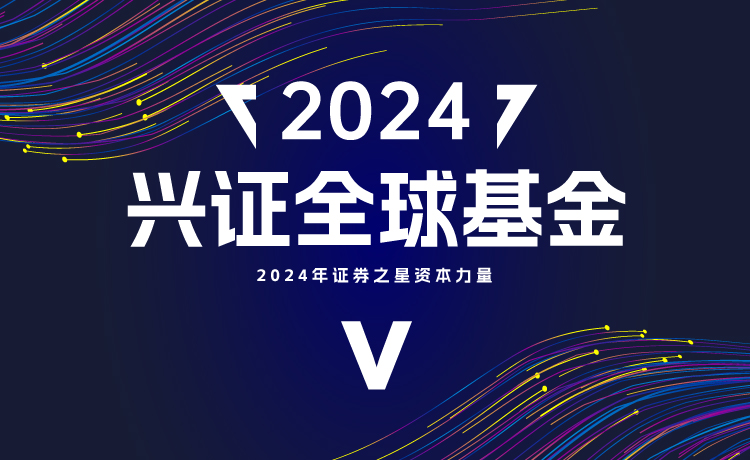 興證全球基金管理有限公司，探索專業(yè)投資管理的卓越之路，興證全球基金管理有限公司，探索專業(yè)投資管理的卓越之路之旅