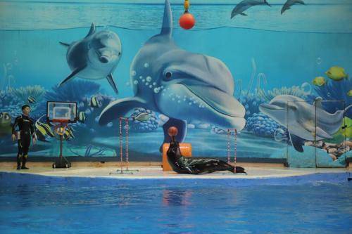 南京海底世界游玩攻略，探索奇妙海洋，了解逛完所需時間，南京海底世界游玩攻略，探索奇妙海洋之旅及所需時間揭秘