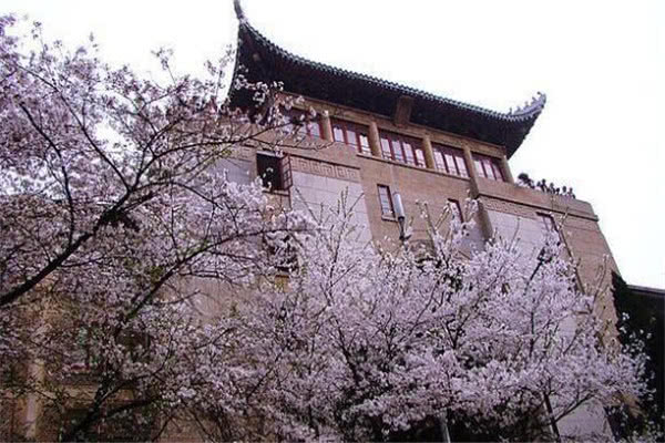 武漢景點排名，探尋歷史文化名城的不朽魅力，武漢景點排名揭秘，歷史文化名城的魅力之旅