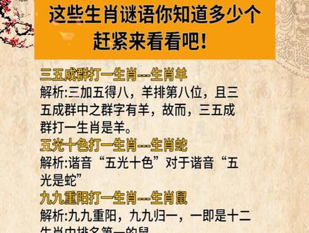 謎語王中王打一生肖——揭秘背后的神秘故事與生肖之謎，揭秘生肖之謎，謎語王中王背后的神秘故事與生肖解密