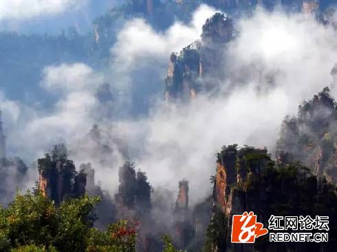 張家界旅游咨詢電話——您的旅游首選咨詢伙伴，張家界旅游咨詢電話，首選咨詢伙伴，啟程美好旅程