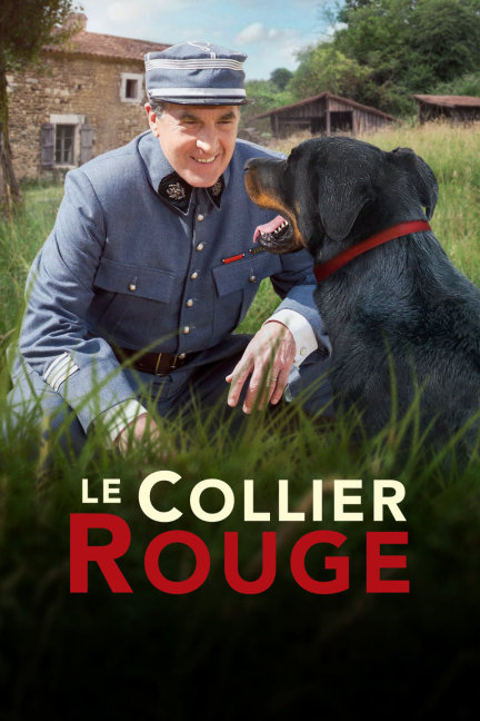 揭秘劉伯溫四不像必中一肖的神秘預(yù)測，劉伯溫四不像預(yù)測揭秘，神秘生肖預(yù)測法必中一肖