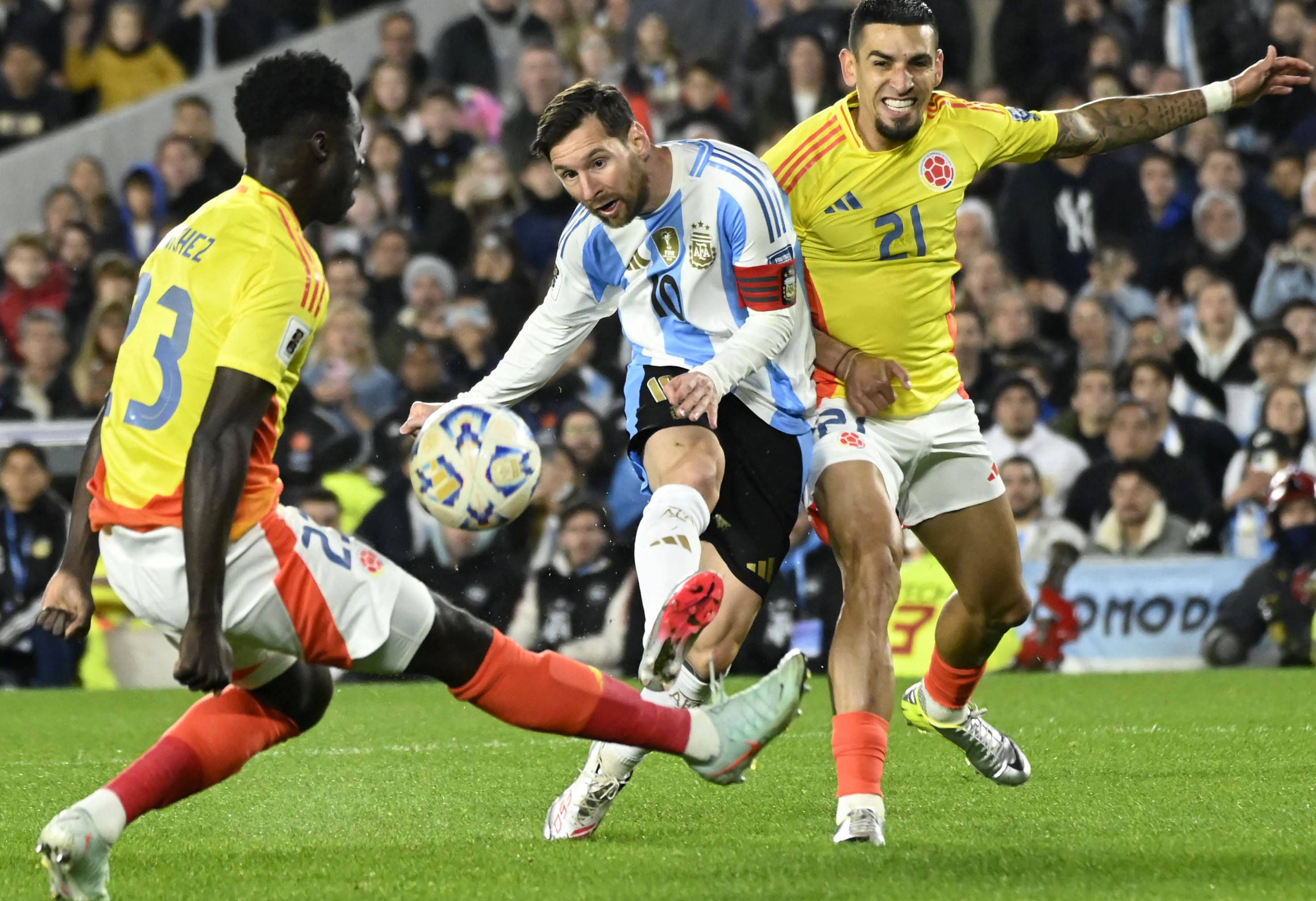 王中王077期一肖特種，深度解析與SEO優(yōu)化策略，王中王077期生肖特種深度解析與SEO優(yōu)化策略探討