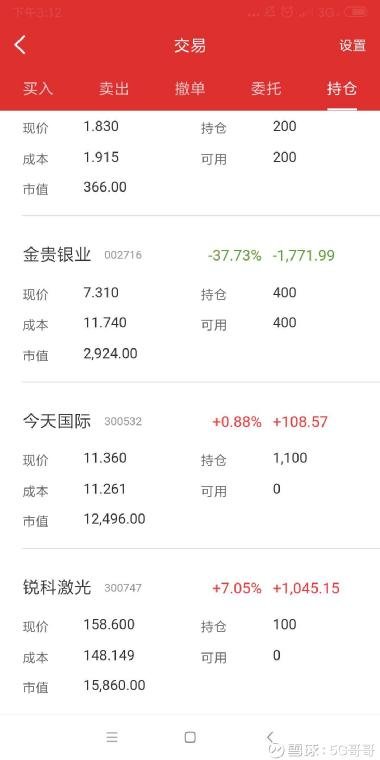 關于股票300613的全面解析，股票300613全面解析指南