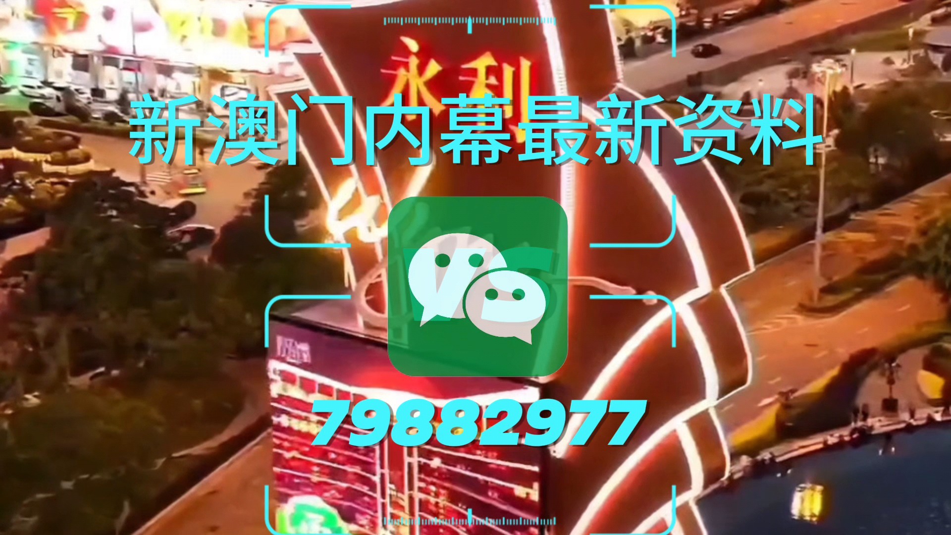 新澳門一肖一特一中，探索與解析，新澳門一肖一特一中，深度探索與解析