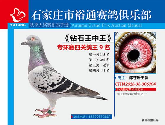 王中王一期一肖特中獎(jiǎng)，揭秘彩票背后的秘密與策略，揭秘彩票背后的秘密與策略，王中王一期一肖特中獎(jiǎng)解析