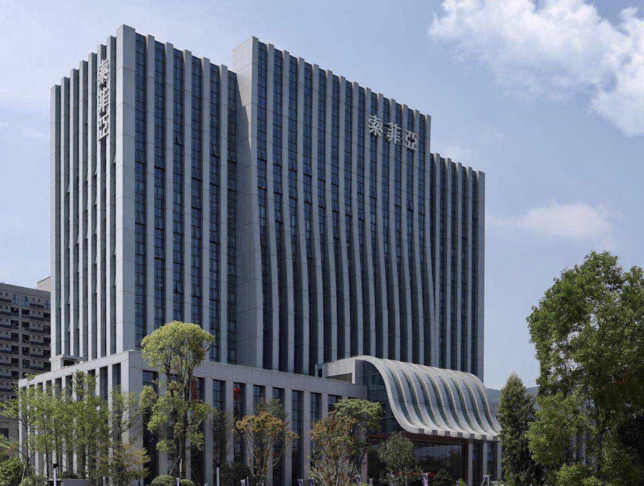 索菲亞，探尋品牌魅力與SEO優(yōu)化之道，索菲亞，品牌魅力與SEO優(yōu)化之旅