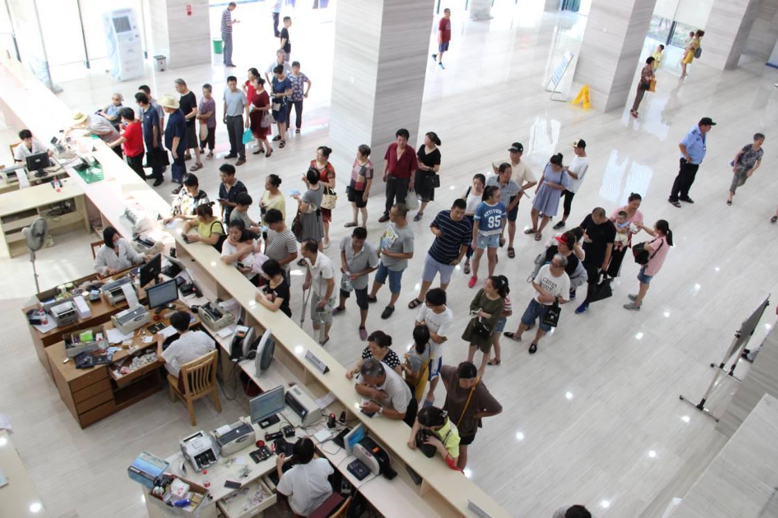 新門內(nèi)部資料，最新章節(jié)免費下載攻略，新門內(nèi)部資料最新章節(jié)免費下載攻略揭秘