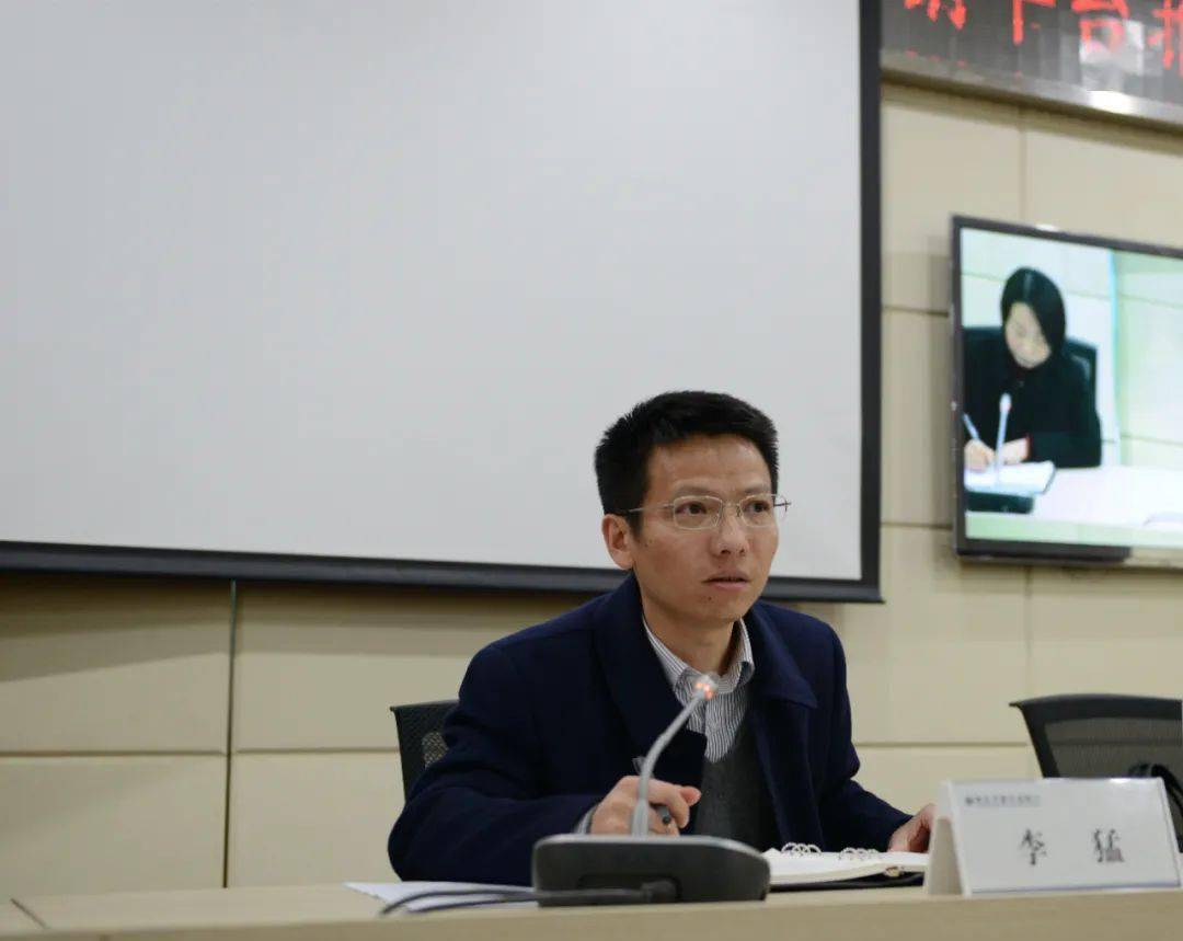 正版王中王一肖平碼圖——深度解析與探索，正版王中王一肖平碼圖深度探索與解析