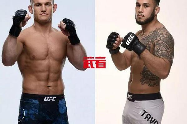 澳門六開獎結(jié)果記錄圖，探索彩票背后的秘密，澳門六開獎結(jié)果記錄圖揭秘彩票背后的秘密